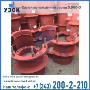 Сальники нажимные серия 5.900-3 в Дербенте